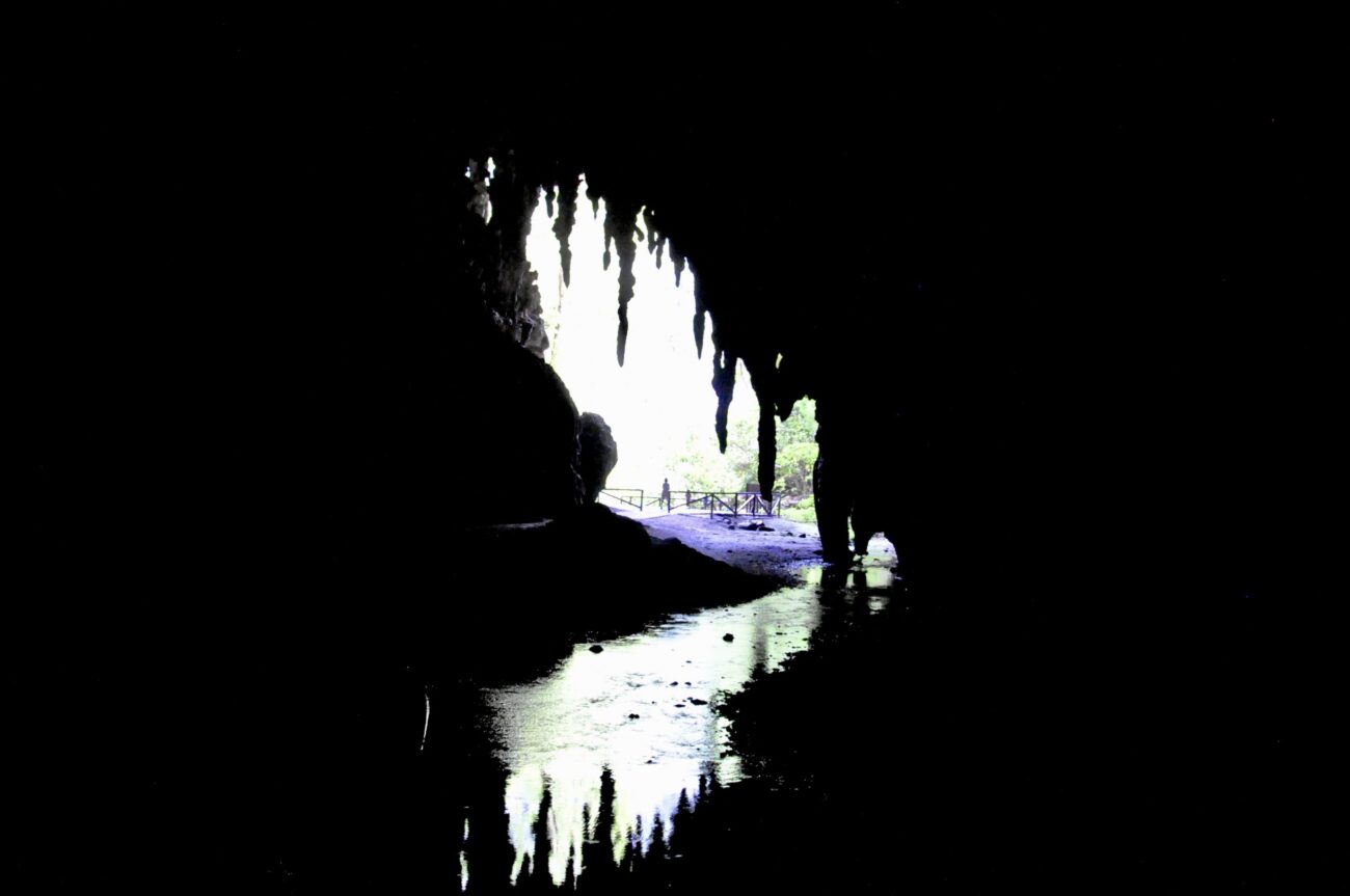 La Cueva del Güácharo