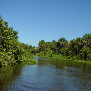 Delta del Orinoco