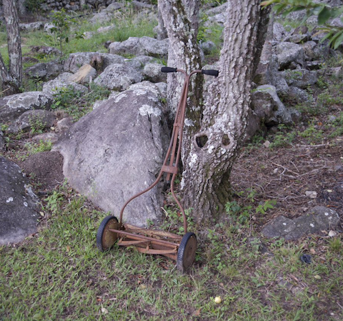 Glamping La Cepa 16 Glamping La Cepa 16