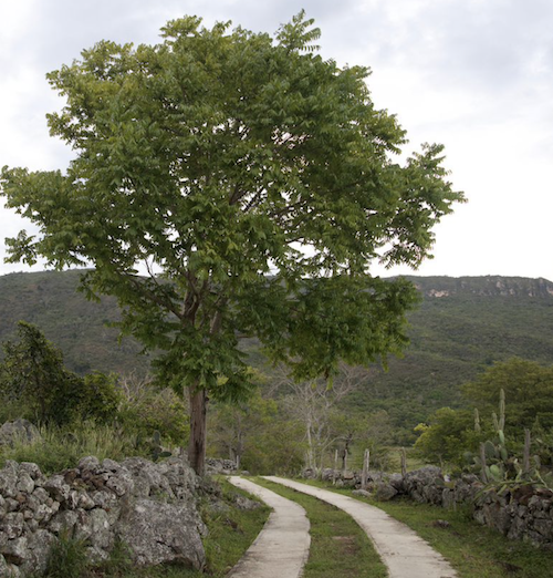 Glamping La Cepa 18 Glamping La Cepa 18