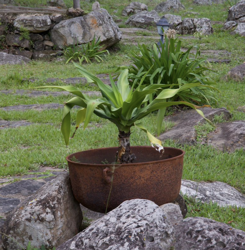 Glamping La Cepa 20 Glamping La Cepa 20